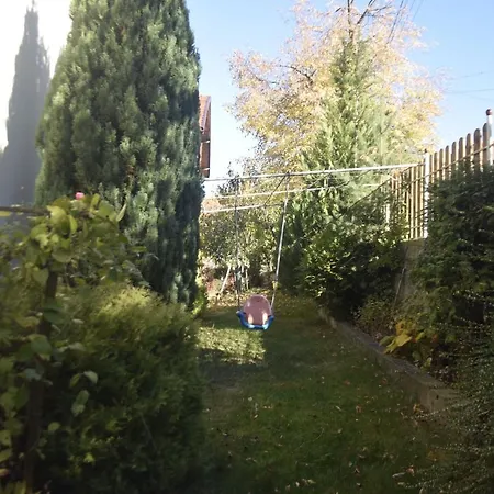 Zdravets Konukevi *