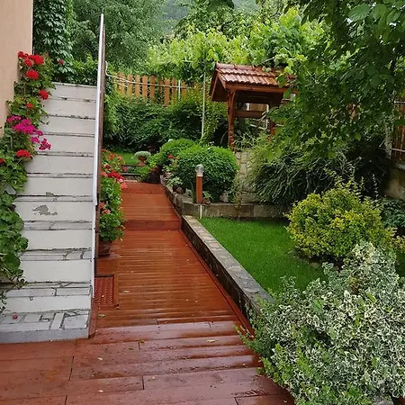 Zdravets * Sapareva Banya